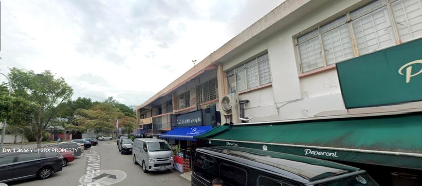 Raffles Park (D11), Detached #532078911